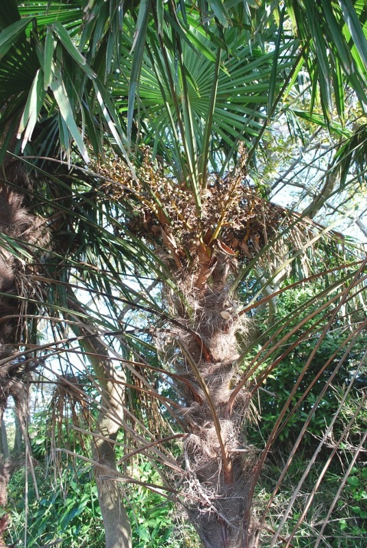 e0025300_2216229.jpg