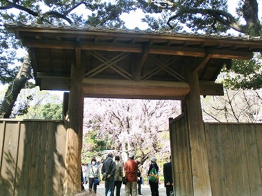 c0187004_178152.jpg