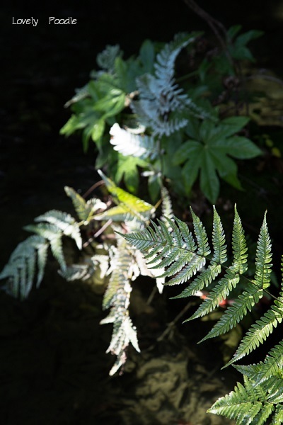 d0257606_17244689.jpg