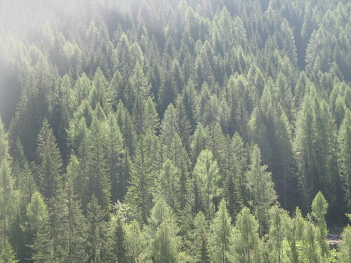 b0103915_16493088.jpg