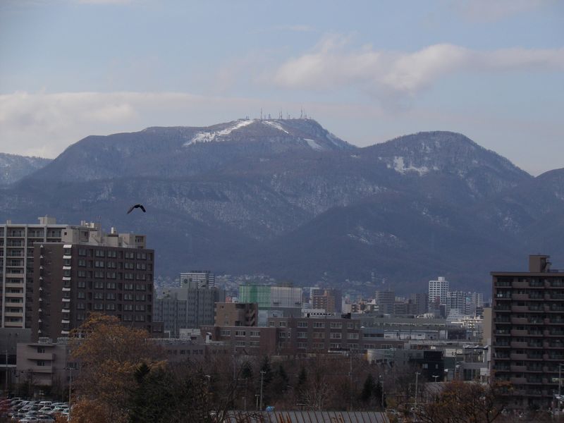 c0025115_1764824.jpg