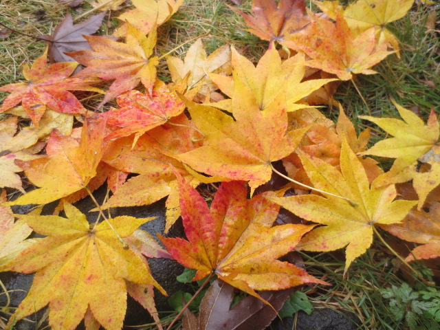 f0248616_12462114.jpg