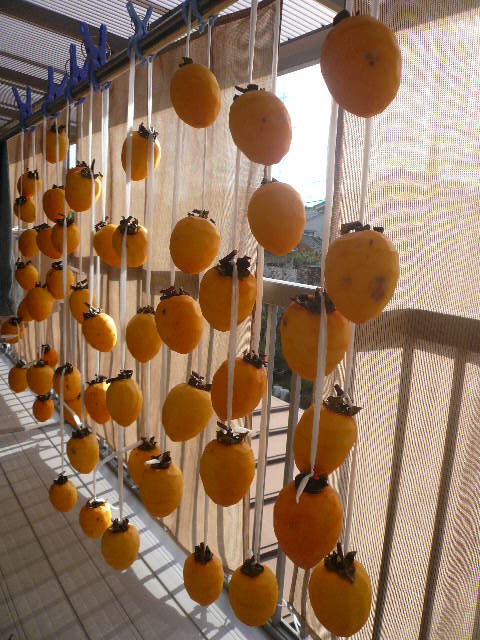 e0026017_16535589.jpg
