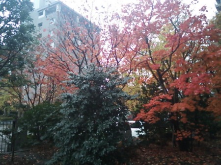 f0235318_11481413.jpg