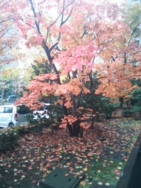 f0235318_11484159.jpg
