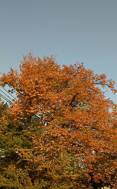 c0097620_19112227.jpg