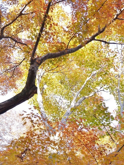 f0231829_23522216.jpg