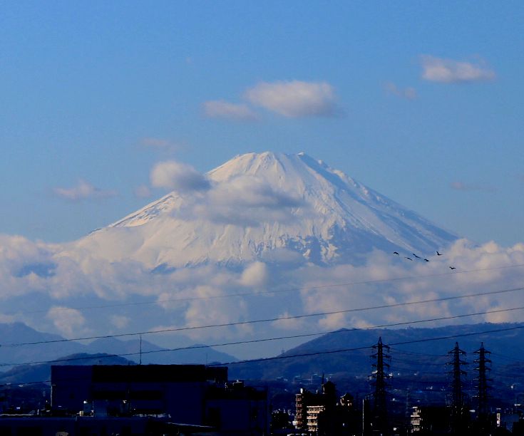 e0149934_20514253.jpg