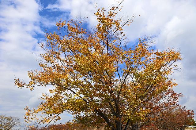 a0242438_19364690.jpg