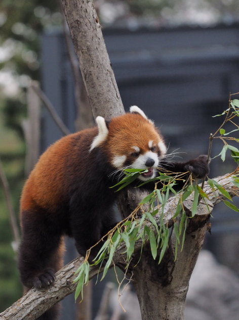 a0149740_12897.jpg