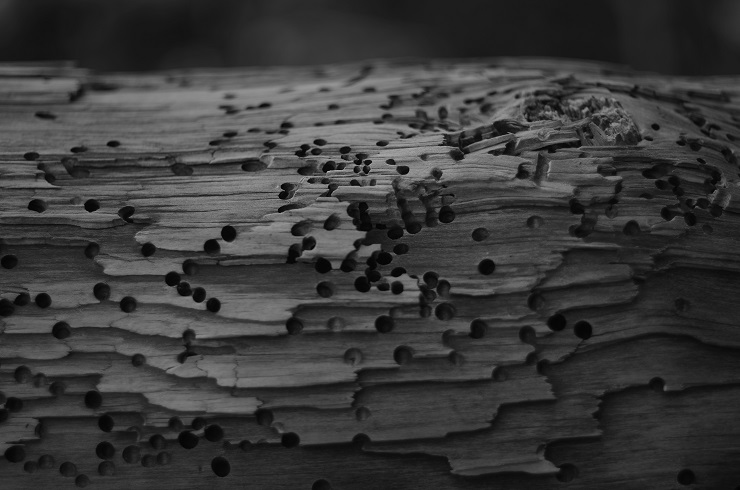 d0165741_9531269.jpg