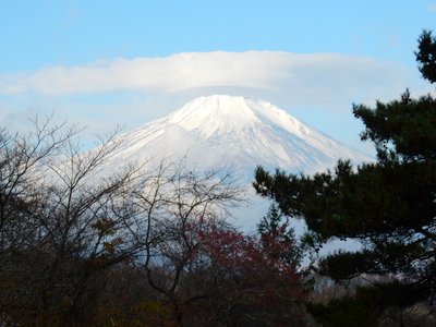 a0142343_1144353.jpg