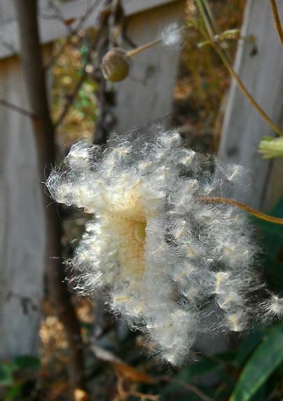 f0090444_2147883.jpg