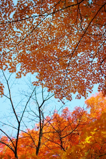 a0299749_21592537.jpg