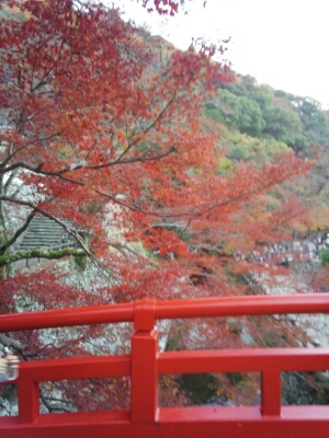 c0324961_1785573.jpg