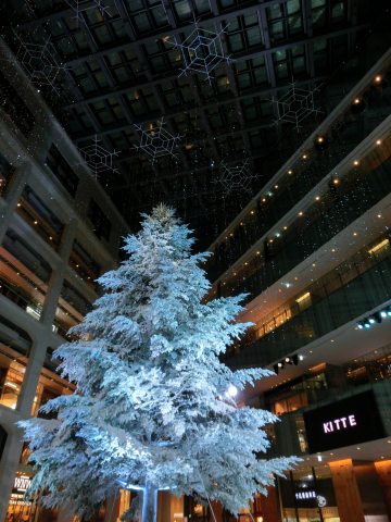 e0045768_2232925.jpg