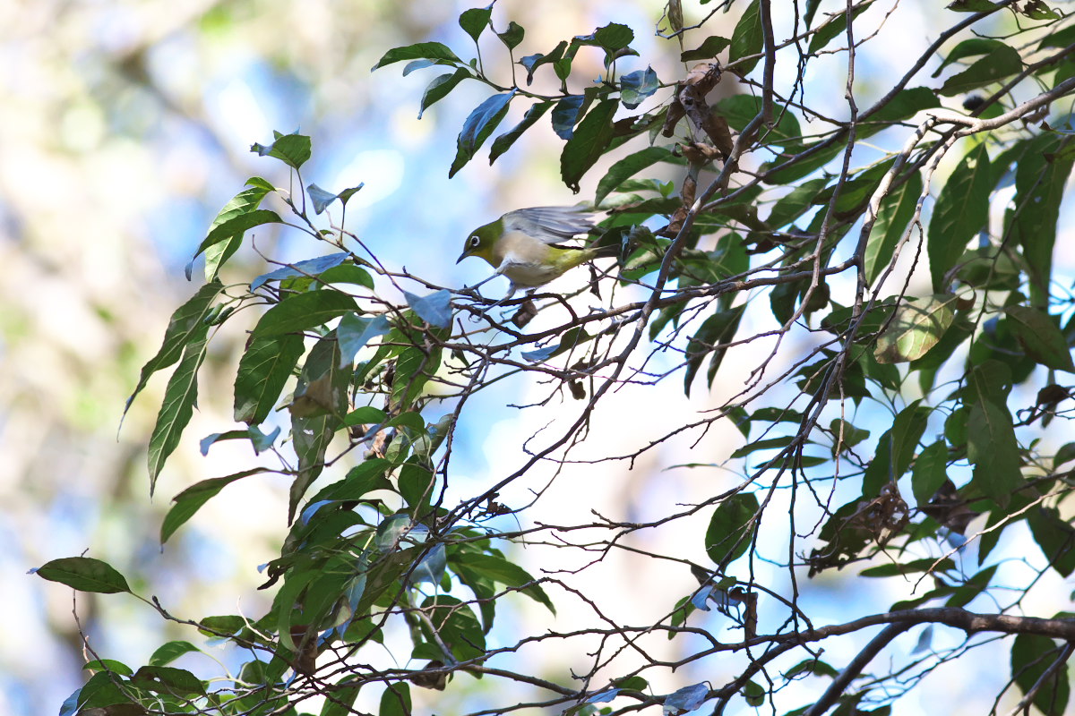 a0083081_21461434.jpg