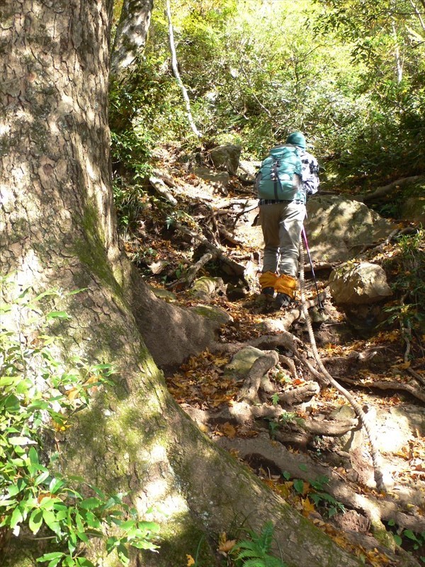 b0042882_00104680.jpg