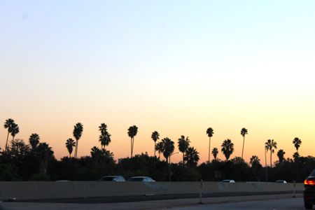 f0245389_1113344.jpg