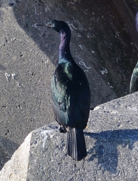 f0159390_857114.jpg