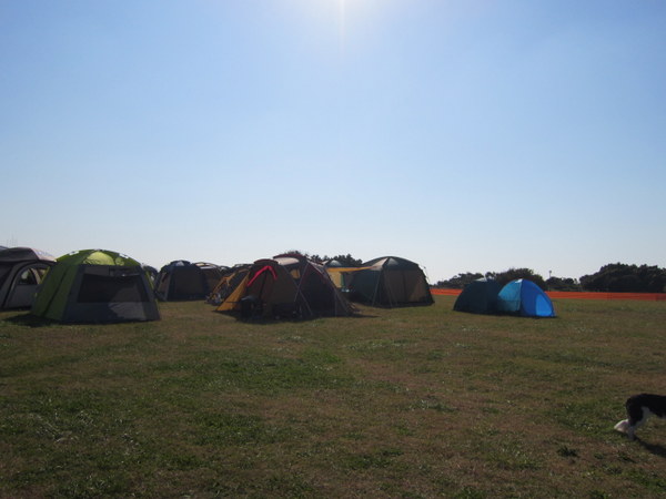 d0098295_2243166.jpg