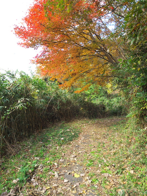 c0043403_22143730.jpg