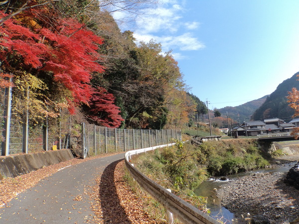 c0266004_17361670.jpg