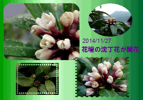 f0231709_8422393.gif
