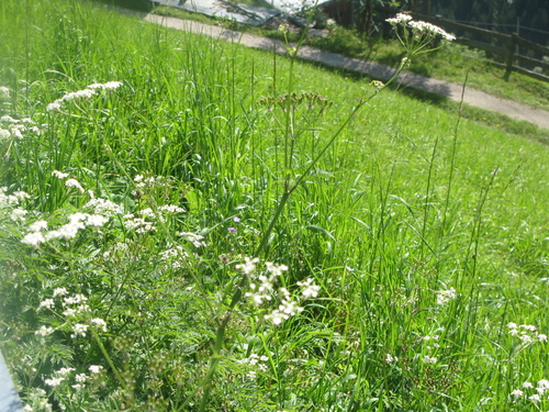 b0103915_20441921.jpg
