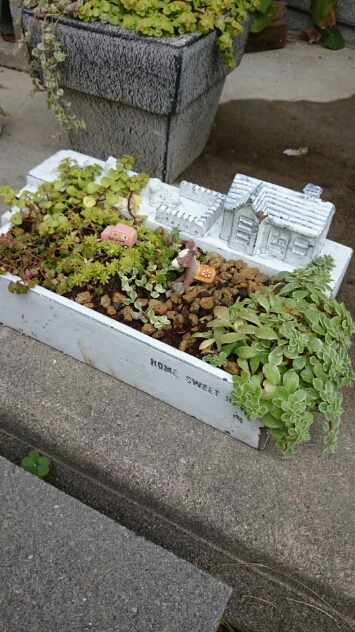 f0293221_13513648.jpg