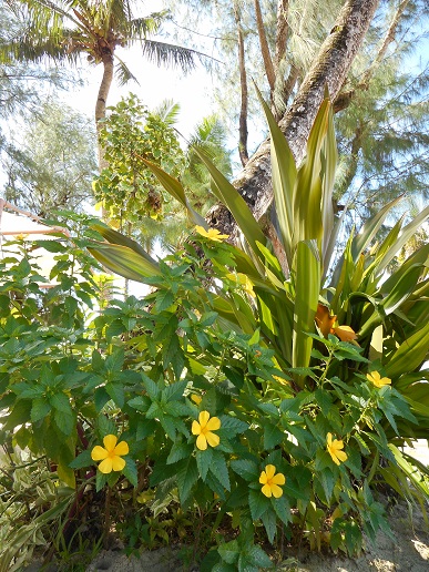 c0142326_2225056.jpg