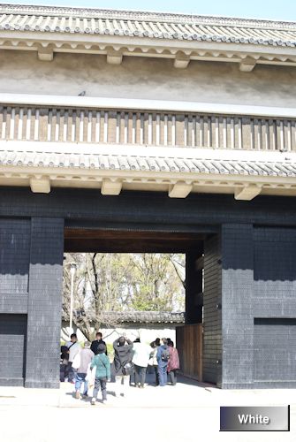 c0227134_0441642.jpg