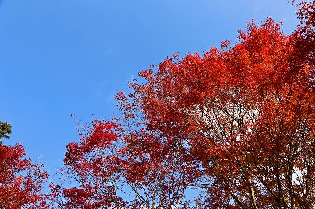 a0242438_20515656.jpg