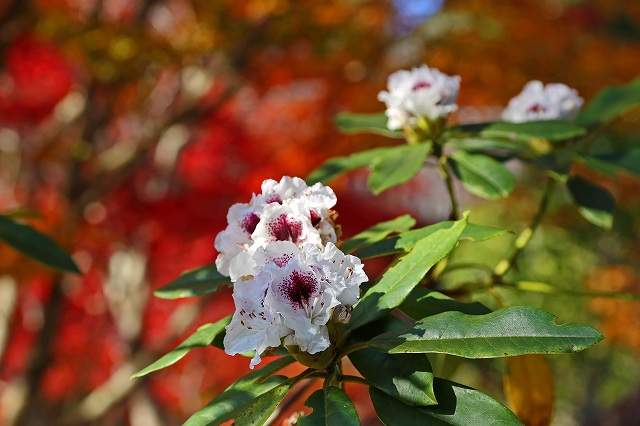 a0242438_20541428.jpg