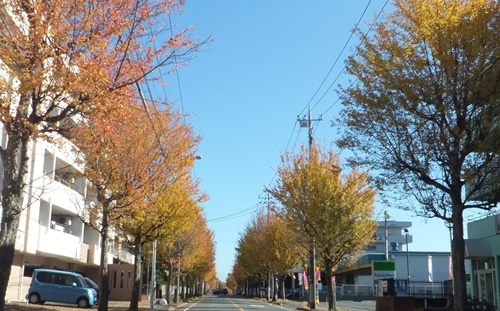 b0120541_173093.jpg