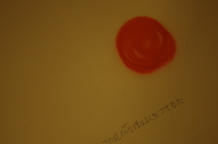 d0165741_16143267.jpg