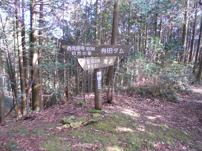 a0206345_1401572.jpg