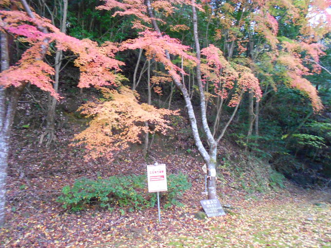 a0206345_7161227.jpg