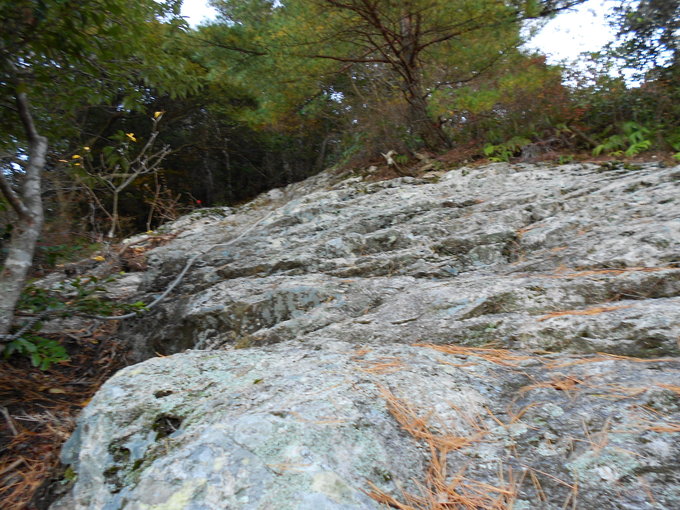 a0206345_7195071.jpg