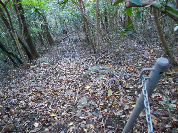 a0206345_9152919.jpg