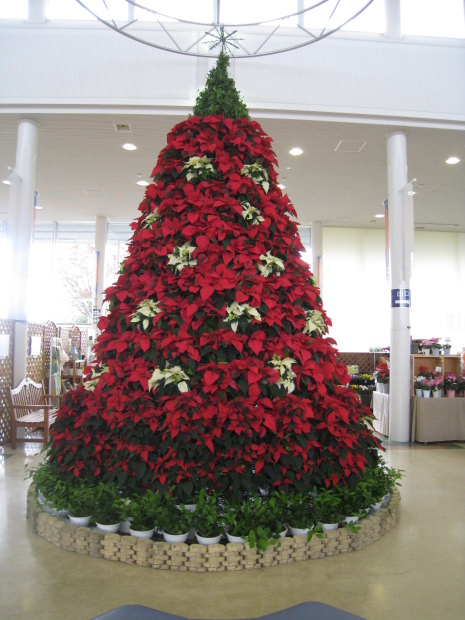 c0177951_16510317.jpg