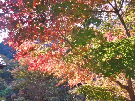 c0127460_18575935.jpg
