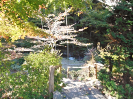 c0127460_1858125.jpg