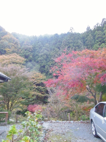 c0127460_18593949.jpg