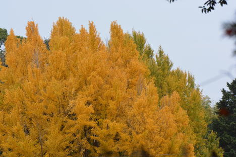 b0267163_13405920.jpg
