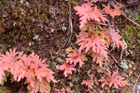 b0267163_13492559.jpg