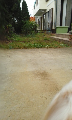 c0336266_09533534.jpg