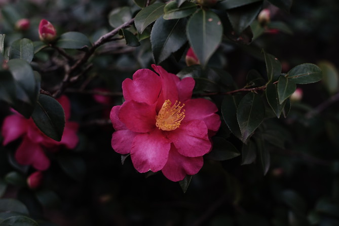b0340572_8164650.jpg