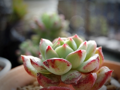 e0264374_12372009.jpg