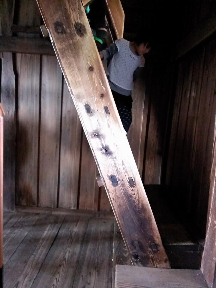 f0136675_00210099.jpg